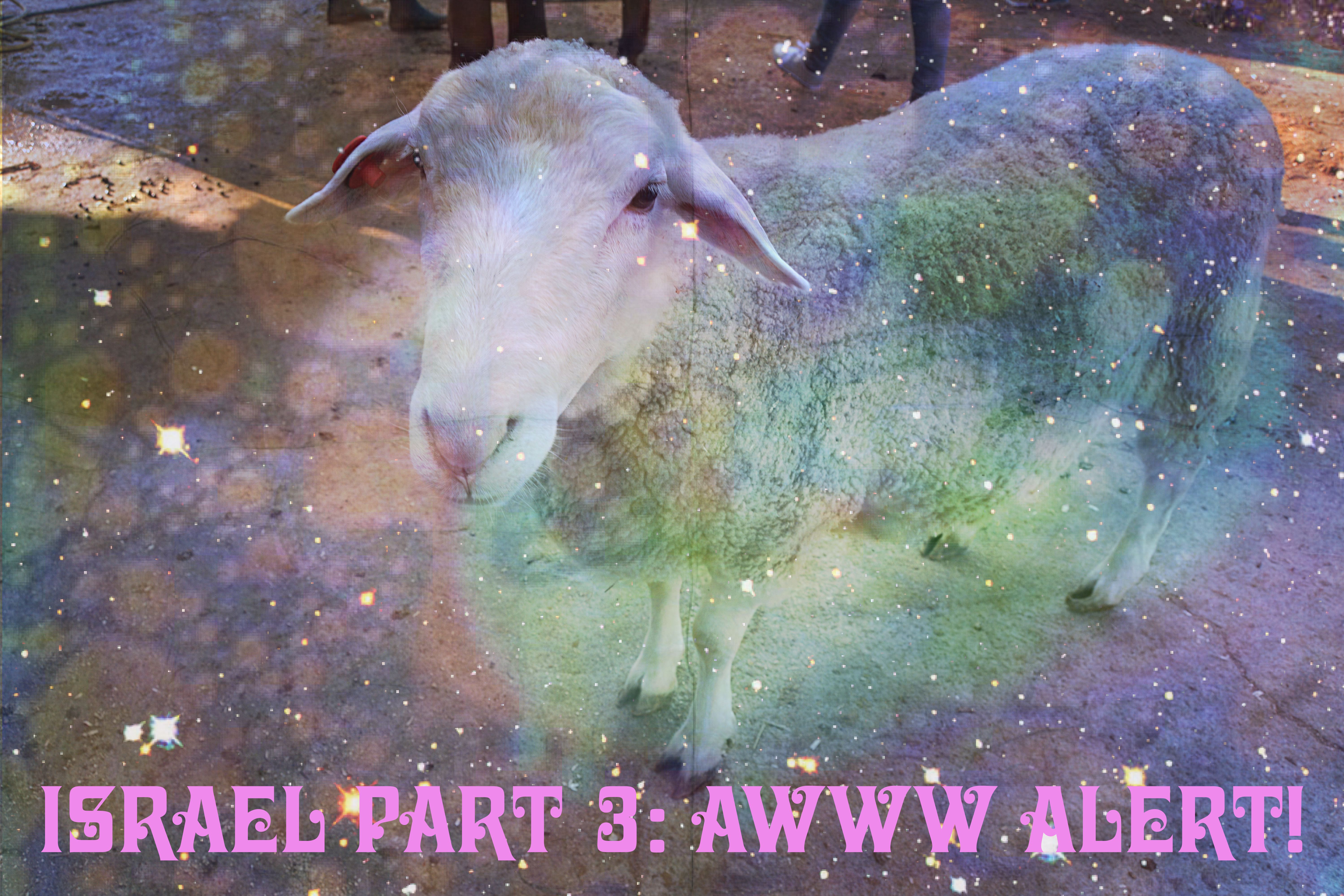 Israel Part 3: Action-Packed Drive to Tel Aviv