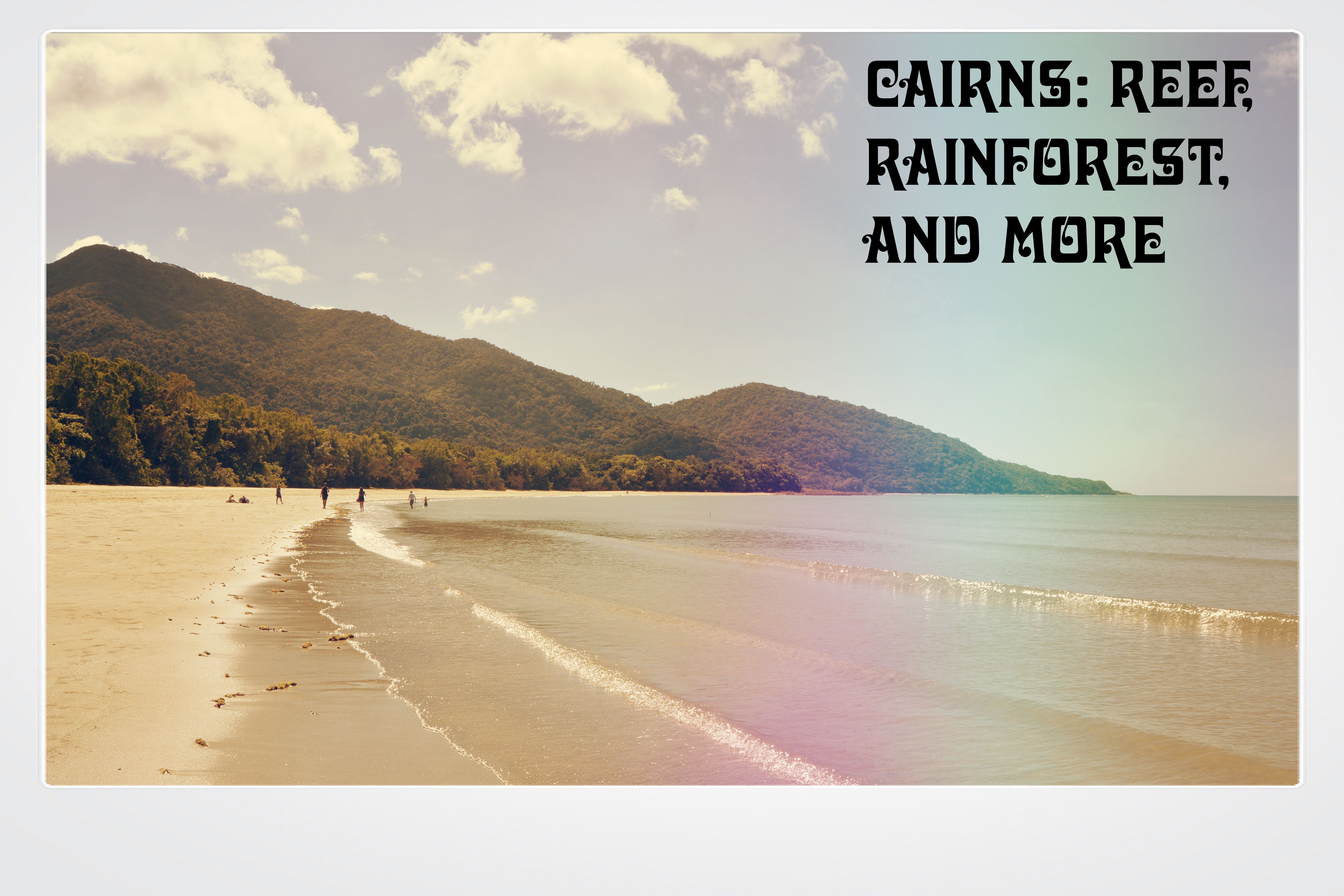 Cairns Travel Blog: Reef, Rainforest, and more