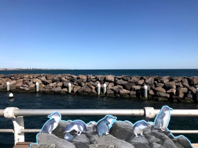 Penguins St Kilda cutout