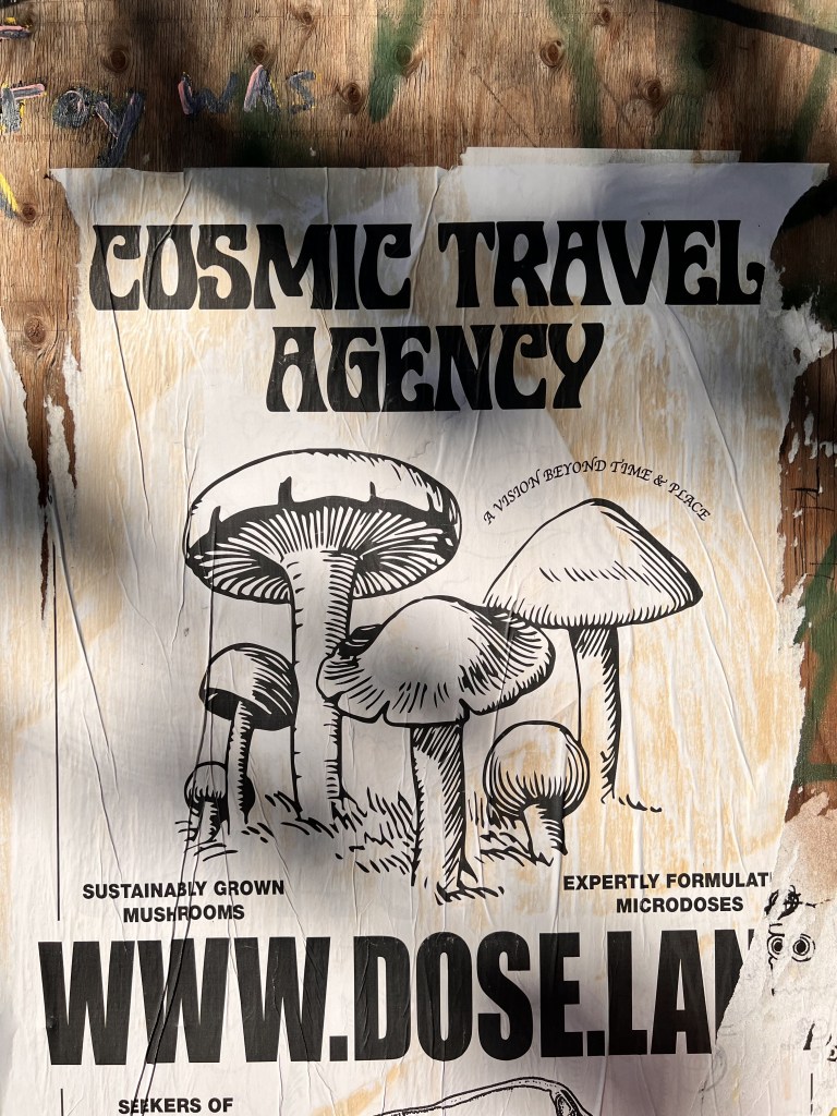 poster of psychedelic mushrooms