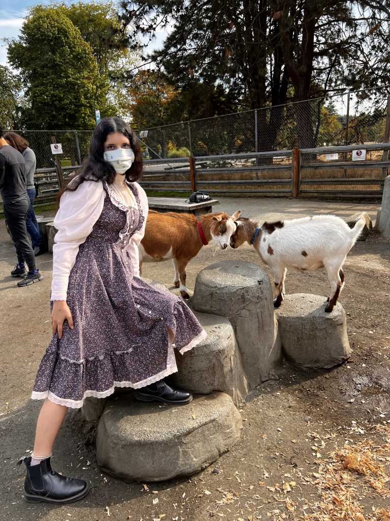 Angie with goats butting heads