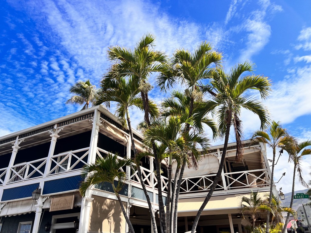 Lahaina Palm trees and building