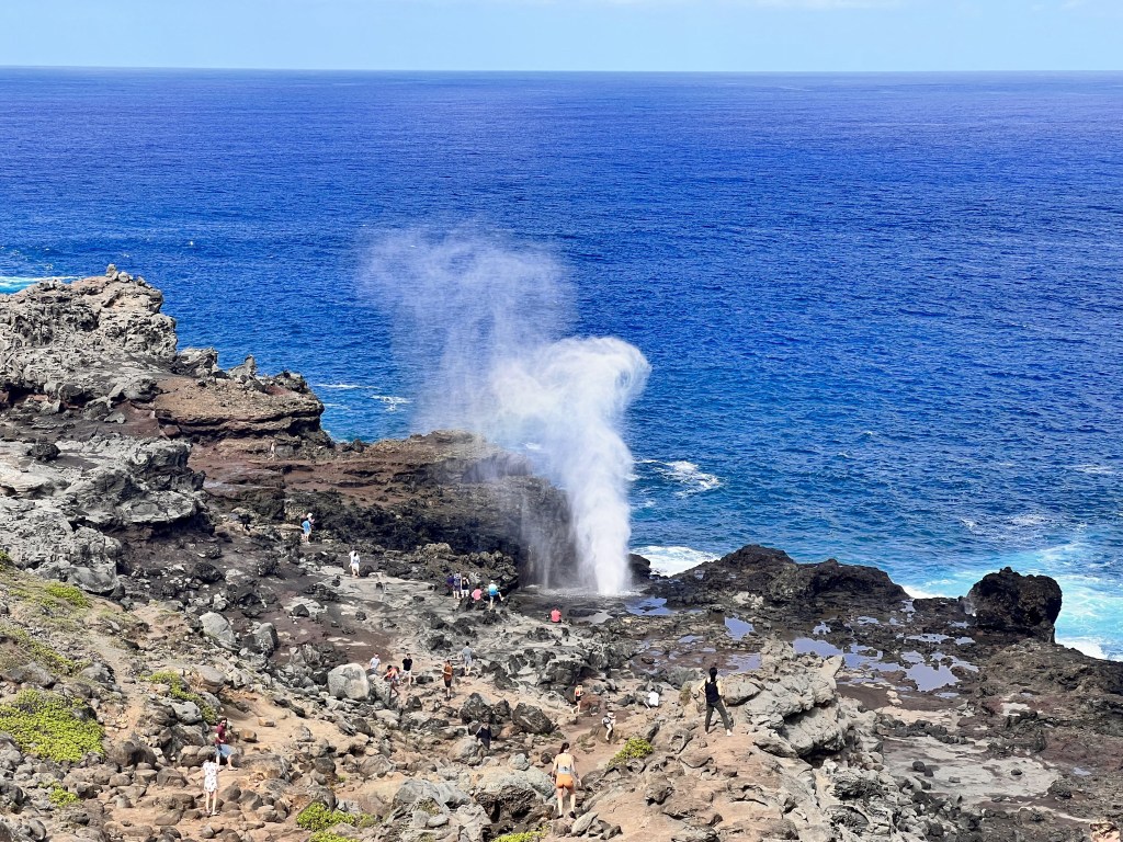 Blowhole