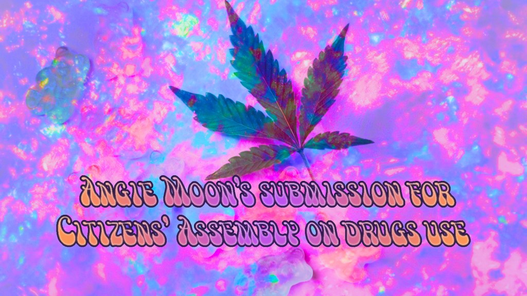 Angie Moon’s Submission to the Citizens’ Assembly on Drugs&nbsp;Use