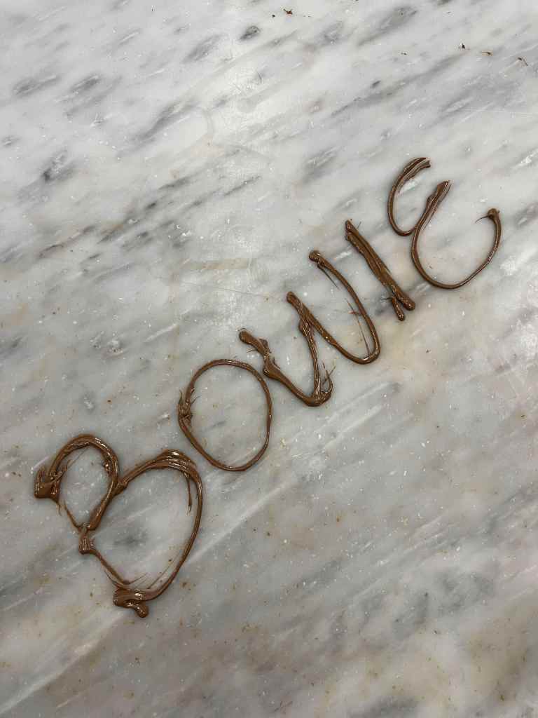 Cadbury World - Bowie