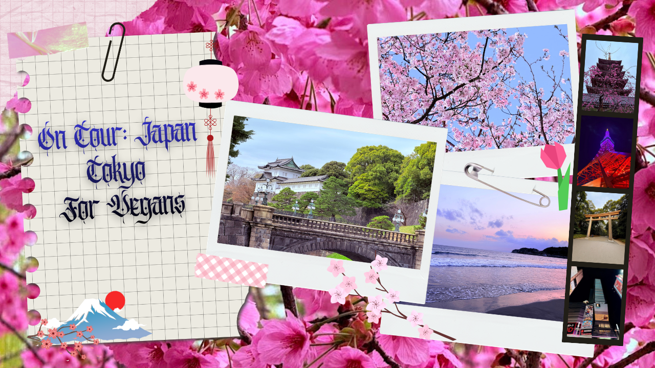 On Tour Japan: Vegan Food and Cherry Blossoms in Tokyo